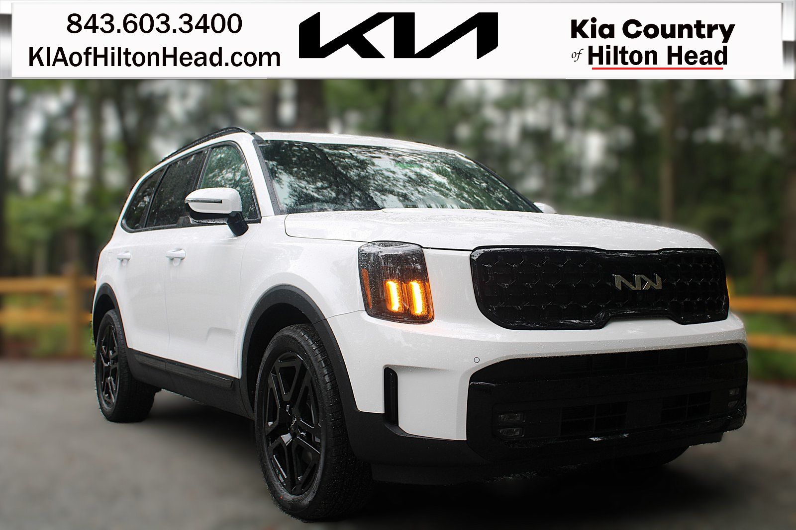 2025 Kia Telluride SX Prestige X-Line's photo