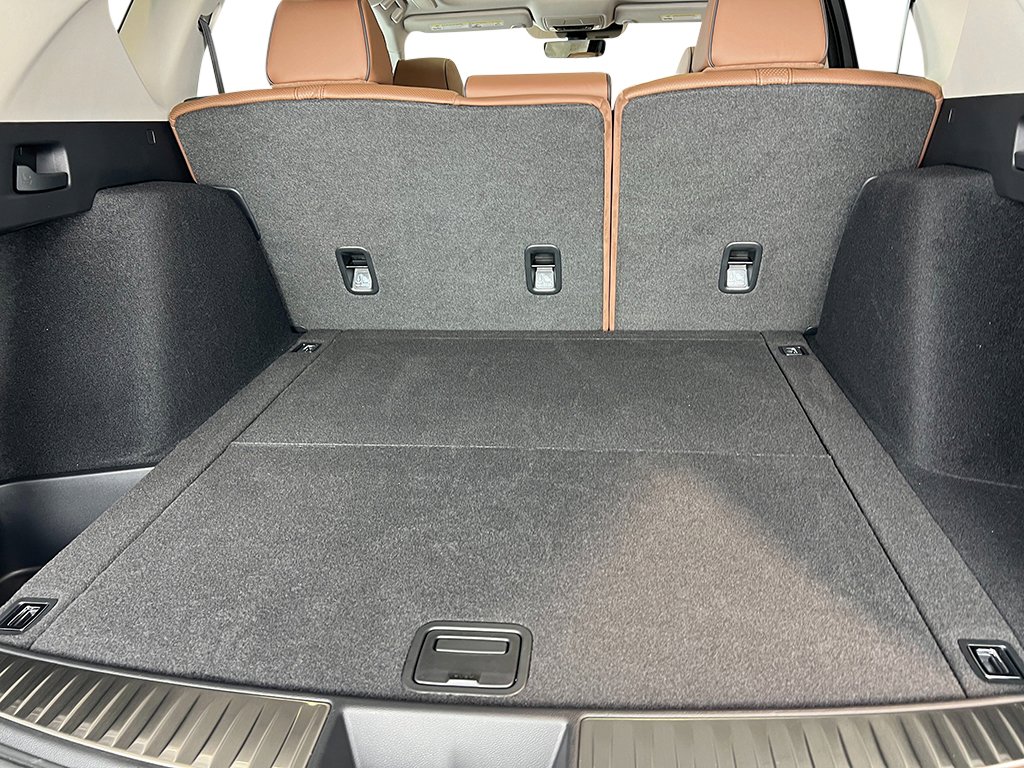 2025 Acura RDX Advance photo 24