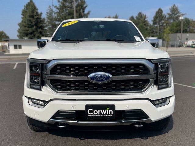 2022 Ford F-150 Platinum photo 6