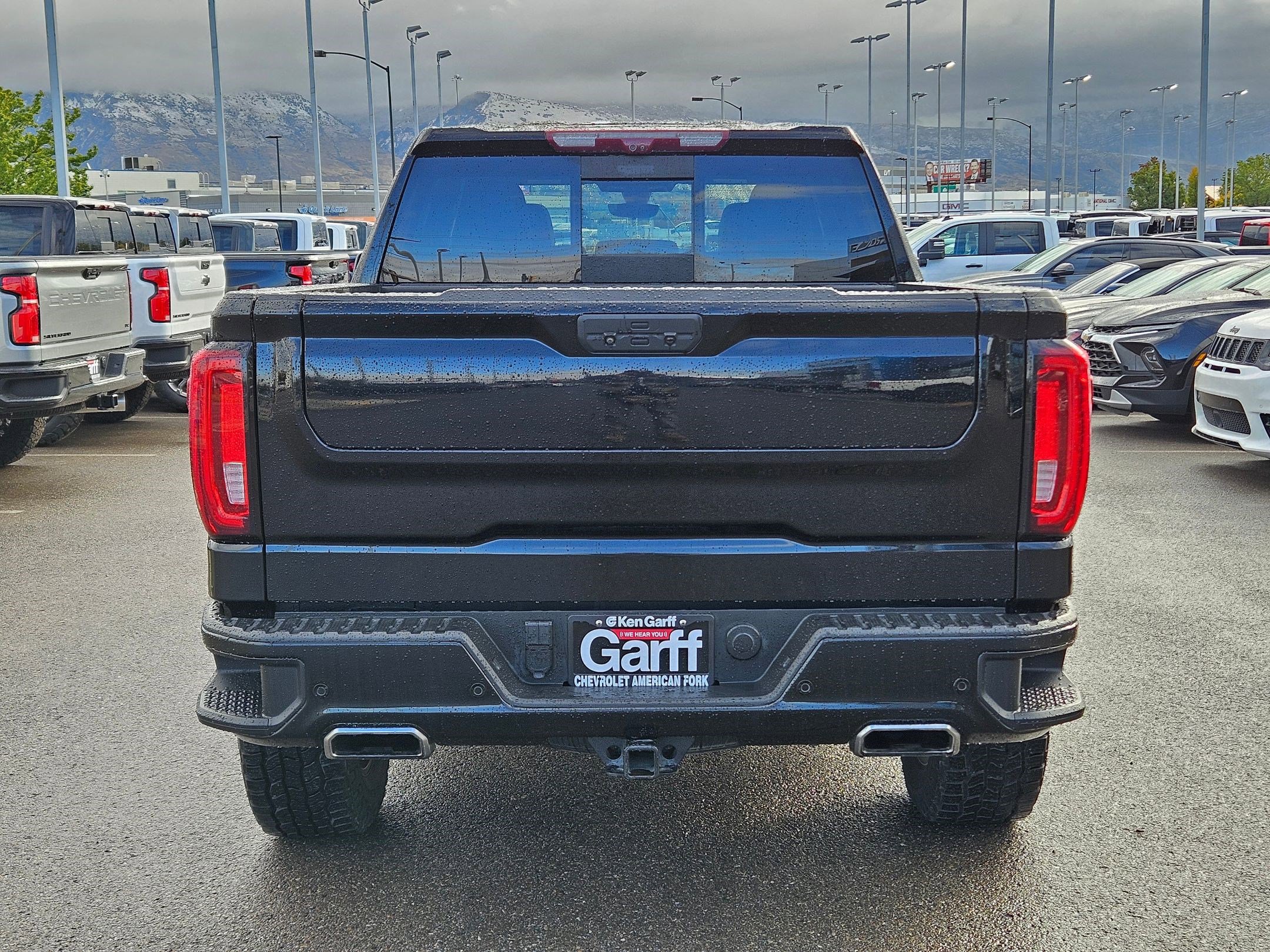 2020 Gmc Sierra 1500 AT4 photo 3