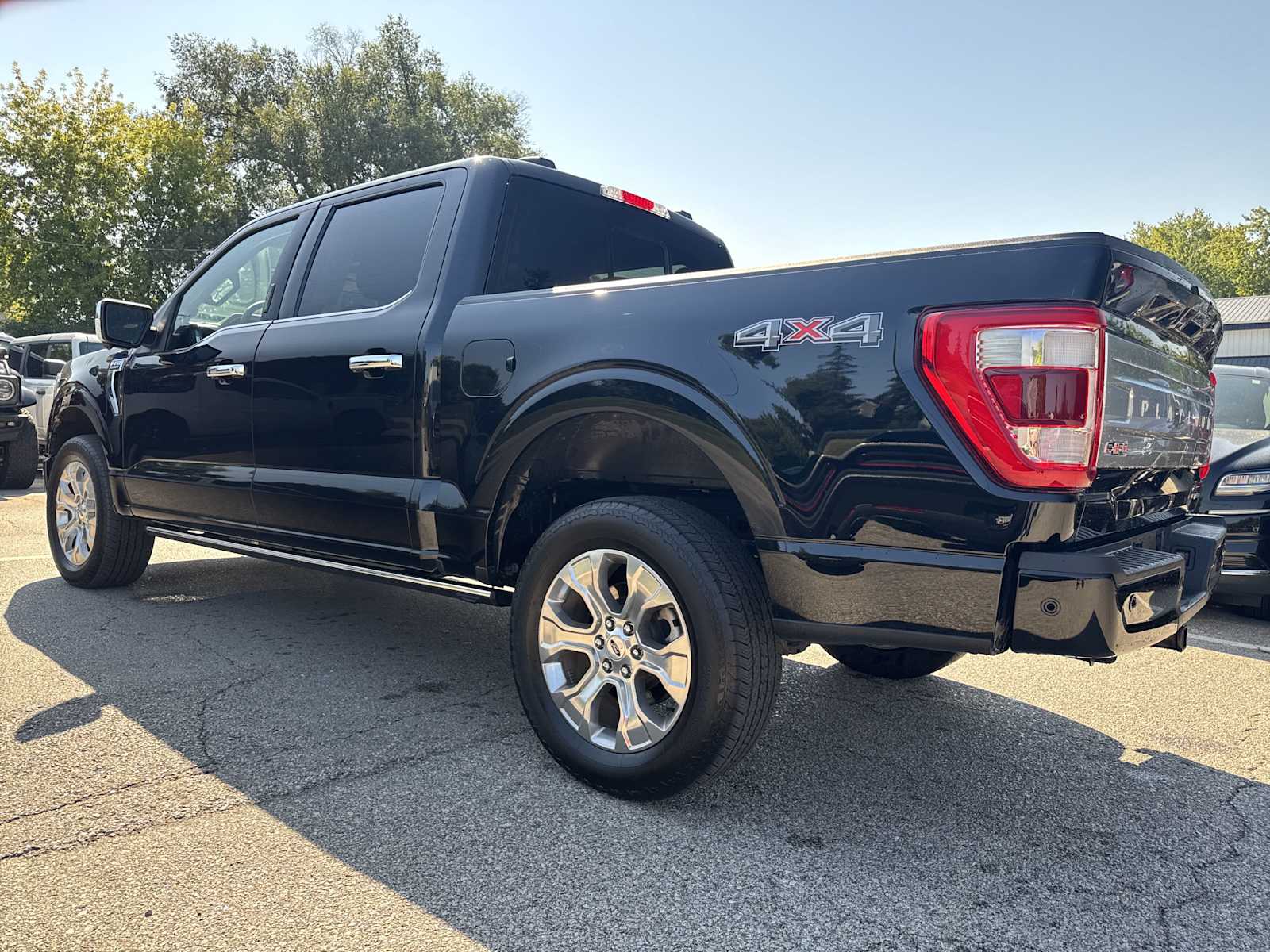 2023 Ford F-150 Platinum photo 7
