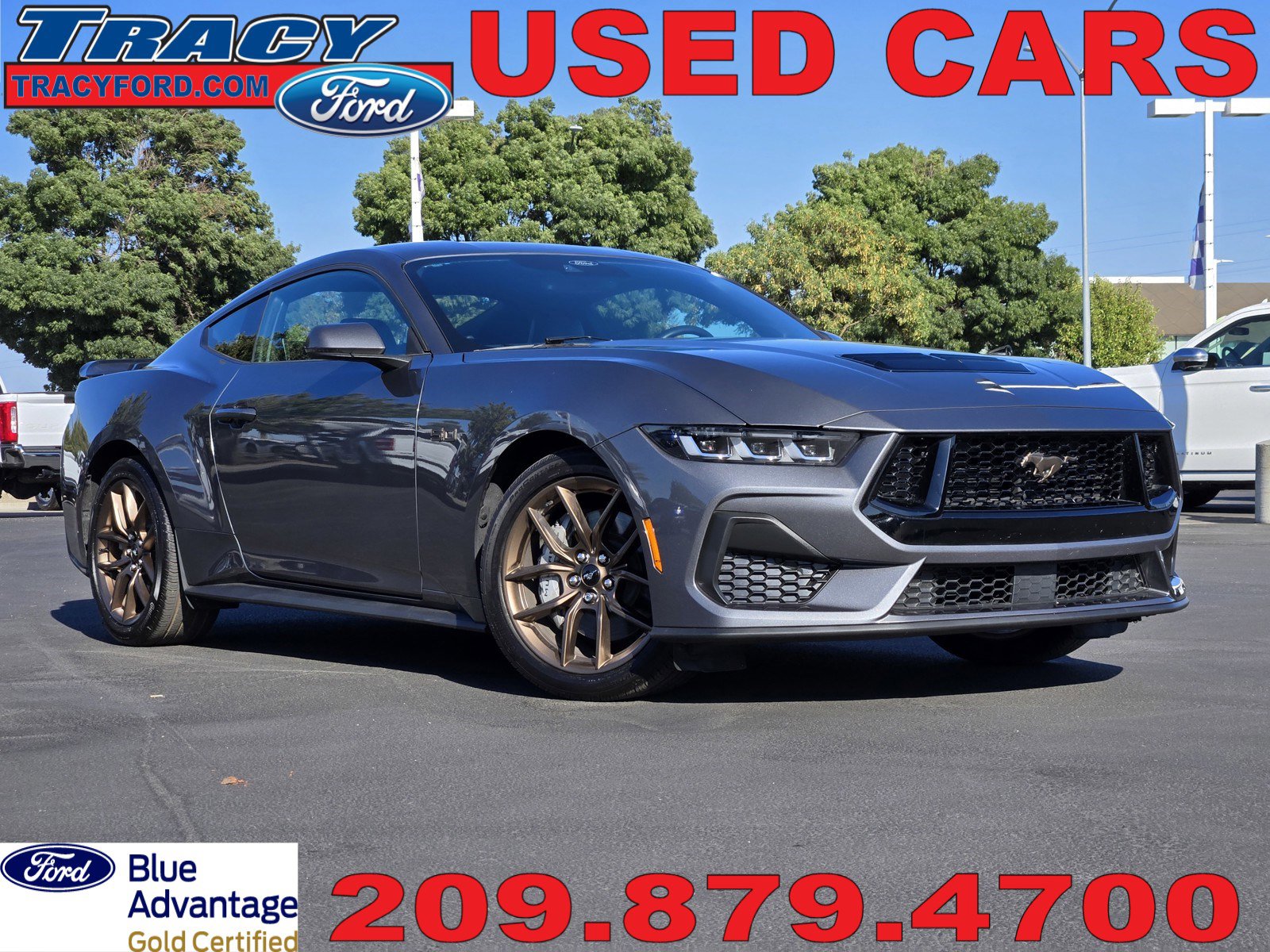 2024 Ford Mustang GT Premium's photo