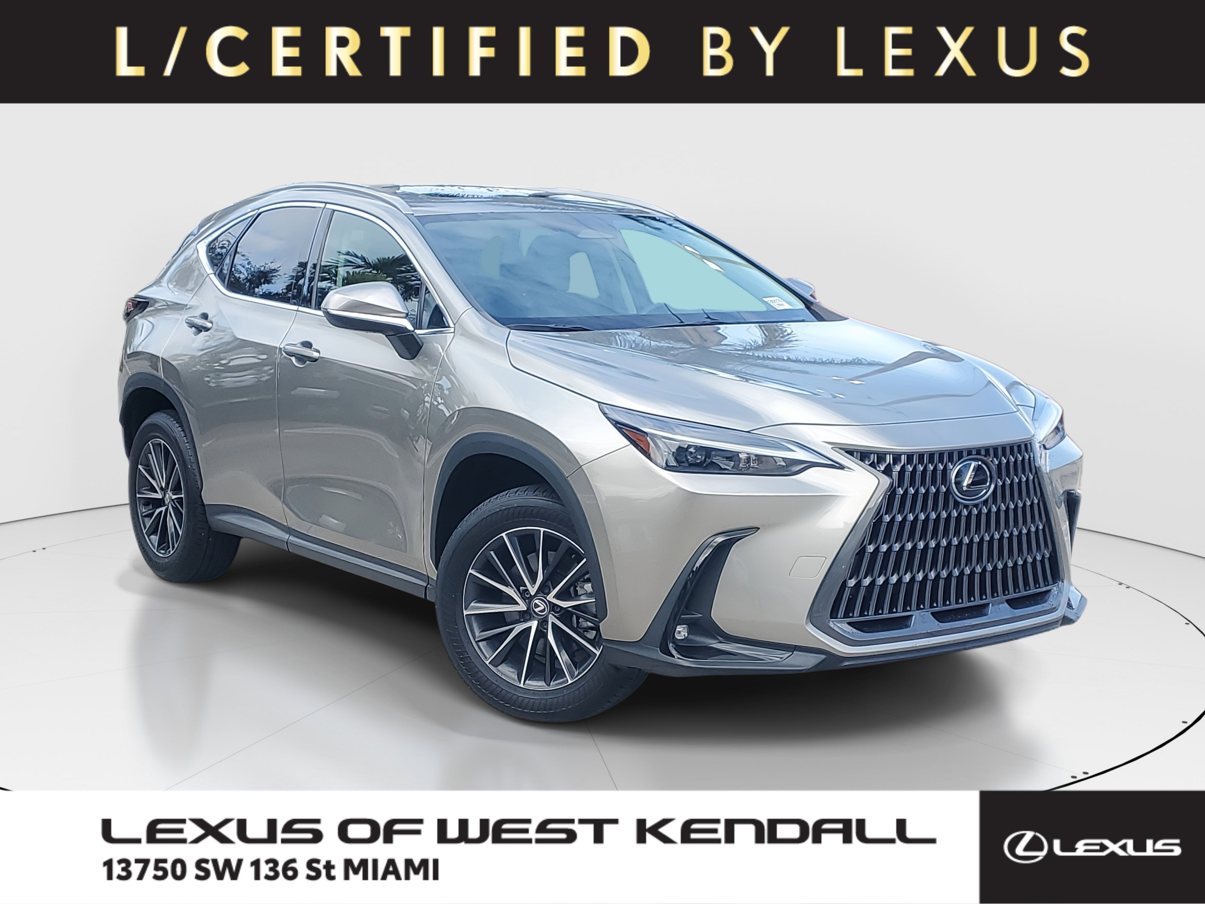 2024 Lexus NX 250