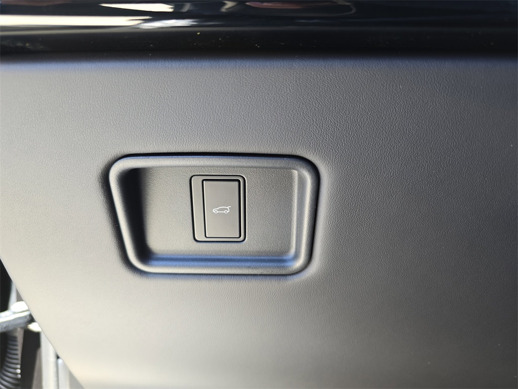 2025 Land Rover Range Rover Autobiography photo 24