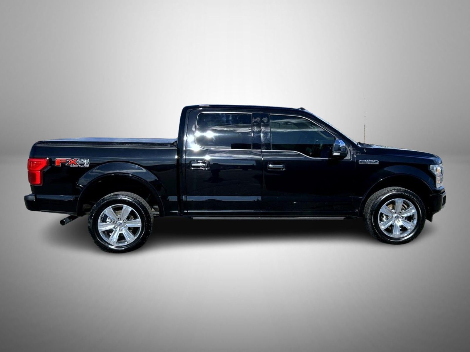 2019 Ford F-150 Platinum photo 4