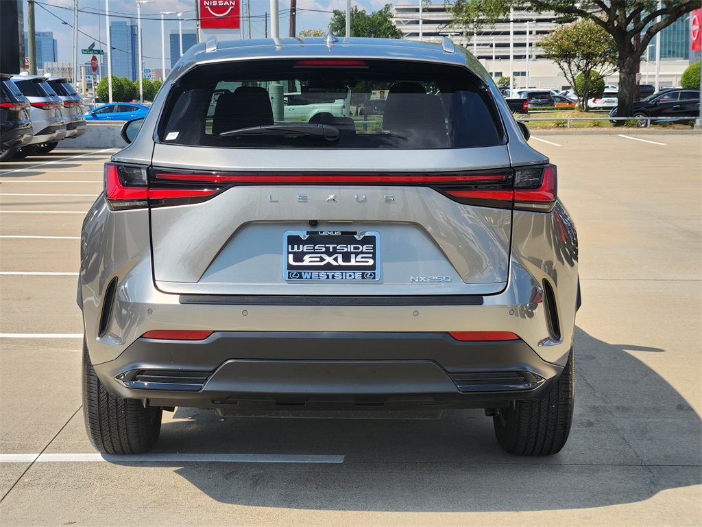 2023 Lexus NX 250 Premium photo 6