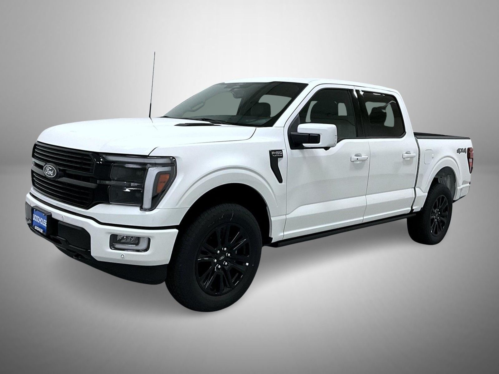 2025 Ford F-150 Platinum's photo