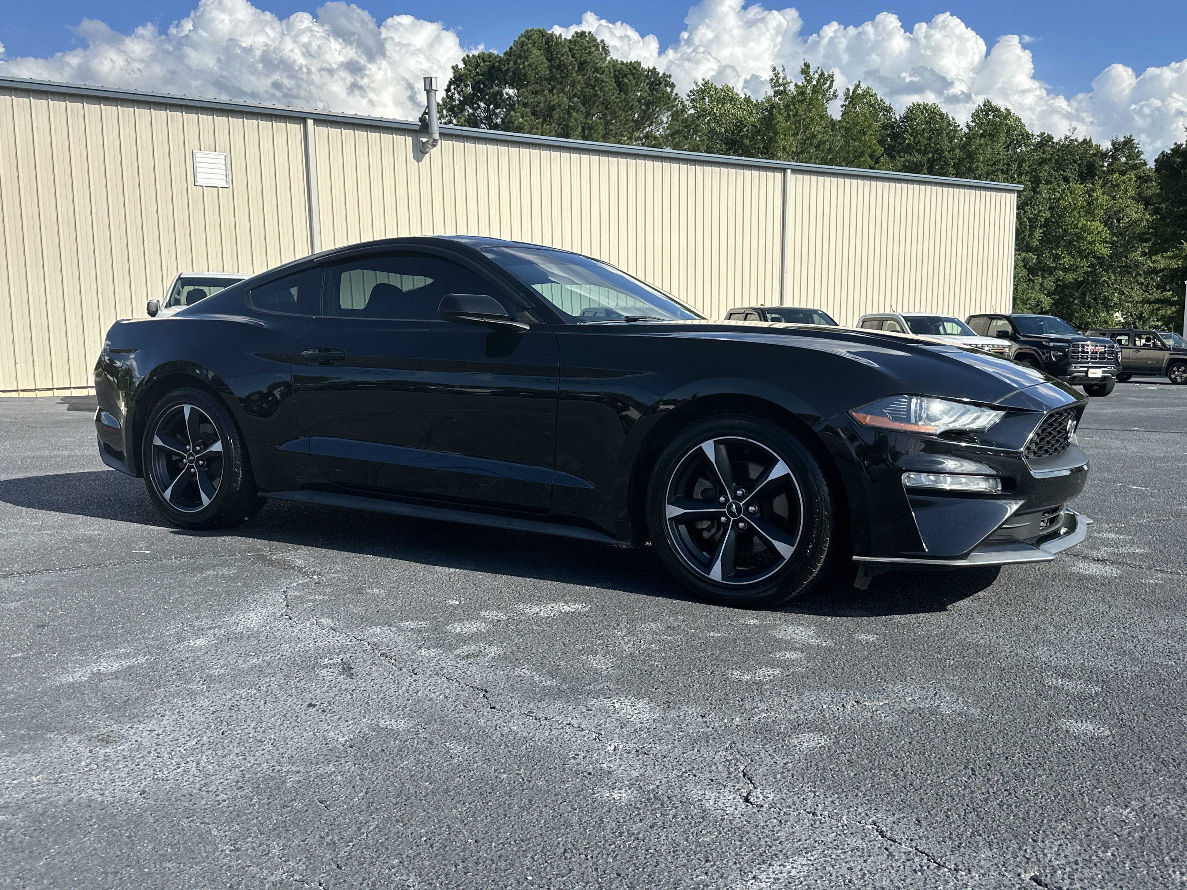 Used 2019 Ford Mustang EcoBoost with VIN 1FA6P8TH4K5193982 for sale in Greenwood, SC
