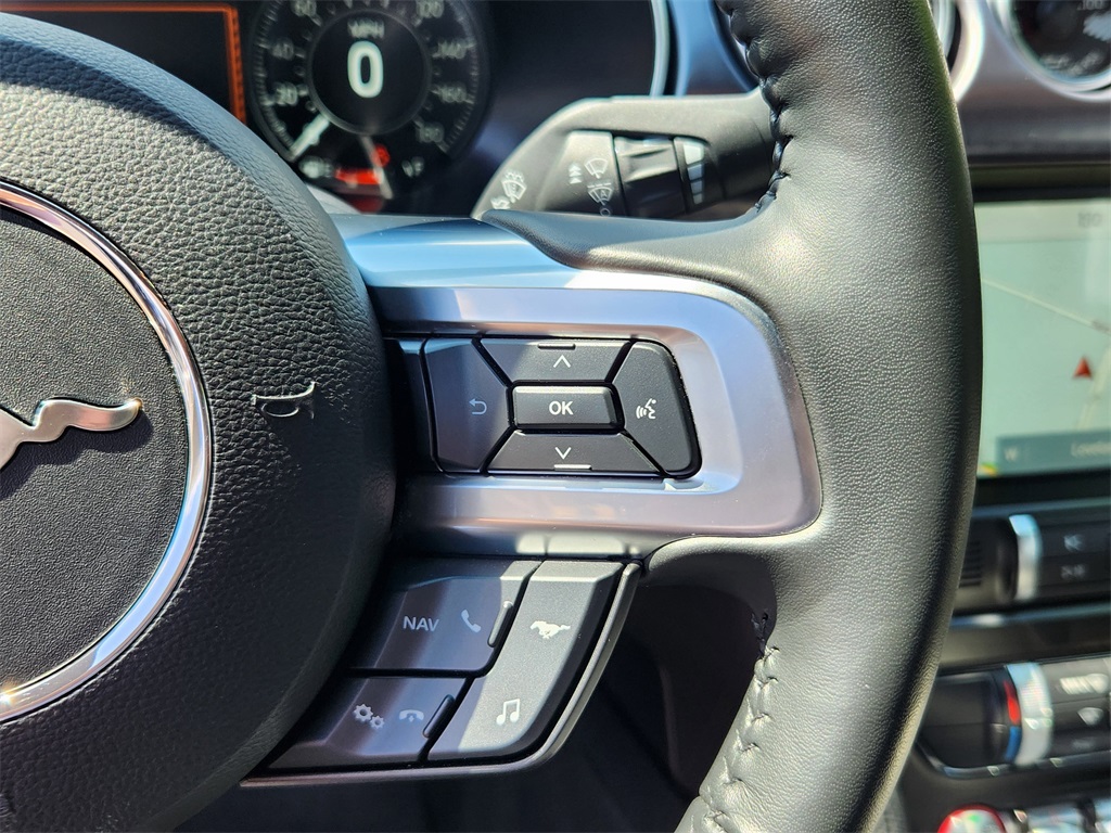2021 Ford Mustang Mach 1 photo 21