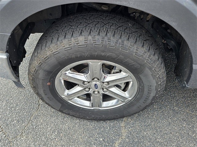 2024 Ford F-150 XLT photo 12