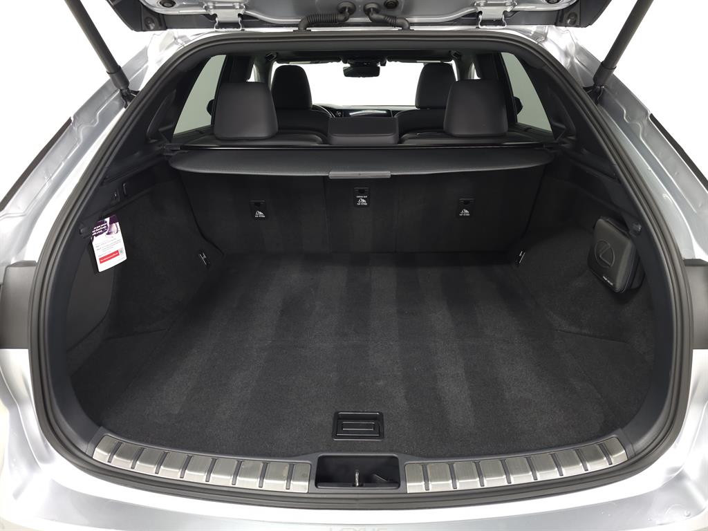 2024 Lexus RX 450h photo 8