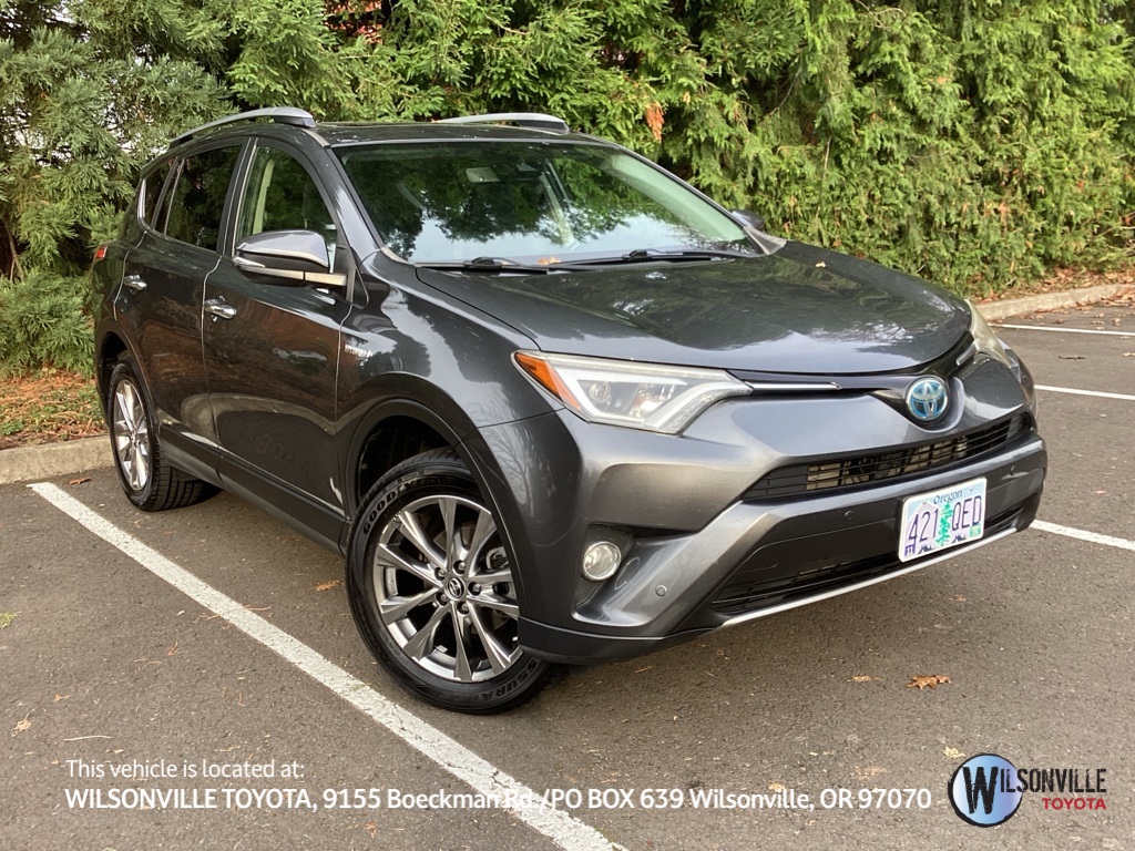 2018 Toyota RAV4 Limited's photo