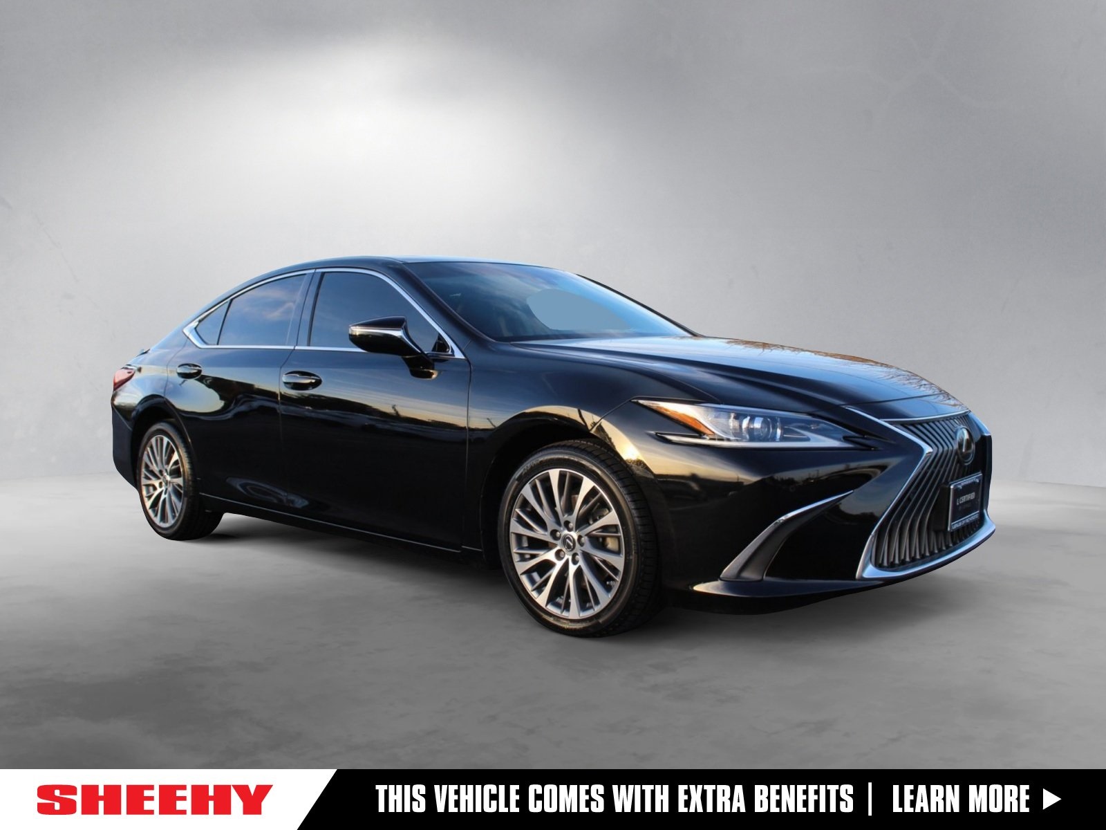 2021 Lexus ES 250's photo