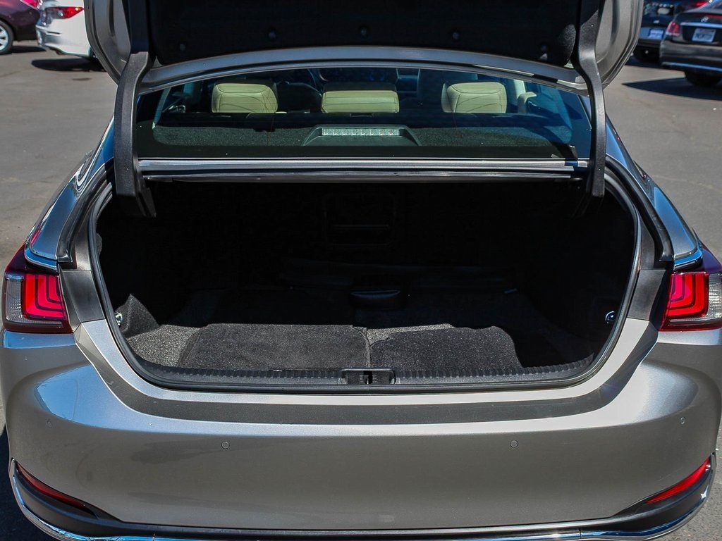2021 Lexus ES 300h photo 22