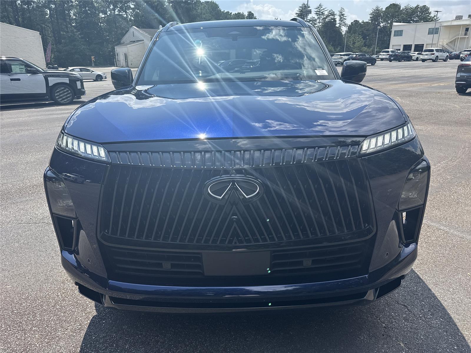 2025 Infiniti QX80 photo 3