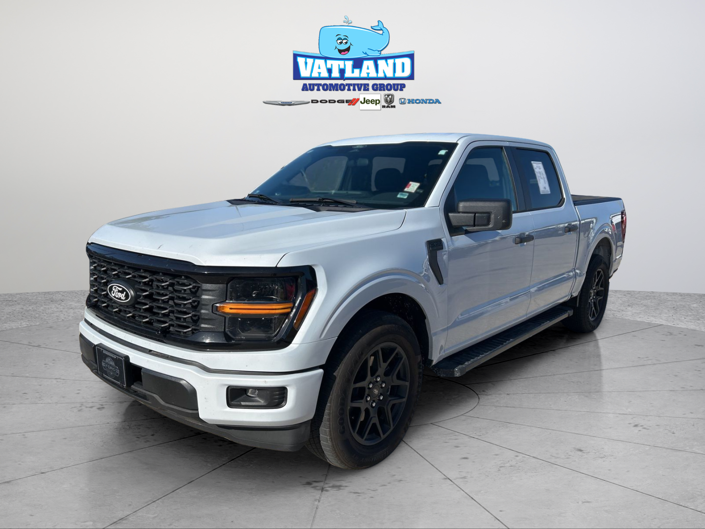 2025 Ford F-150 STX's photo