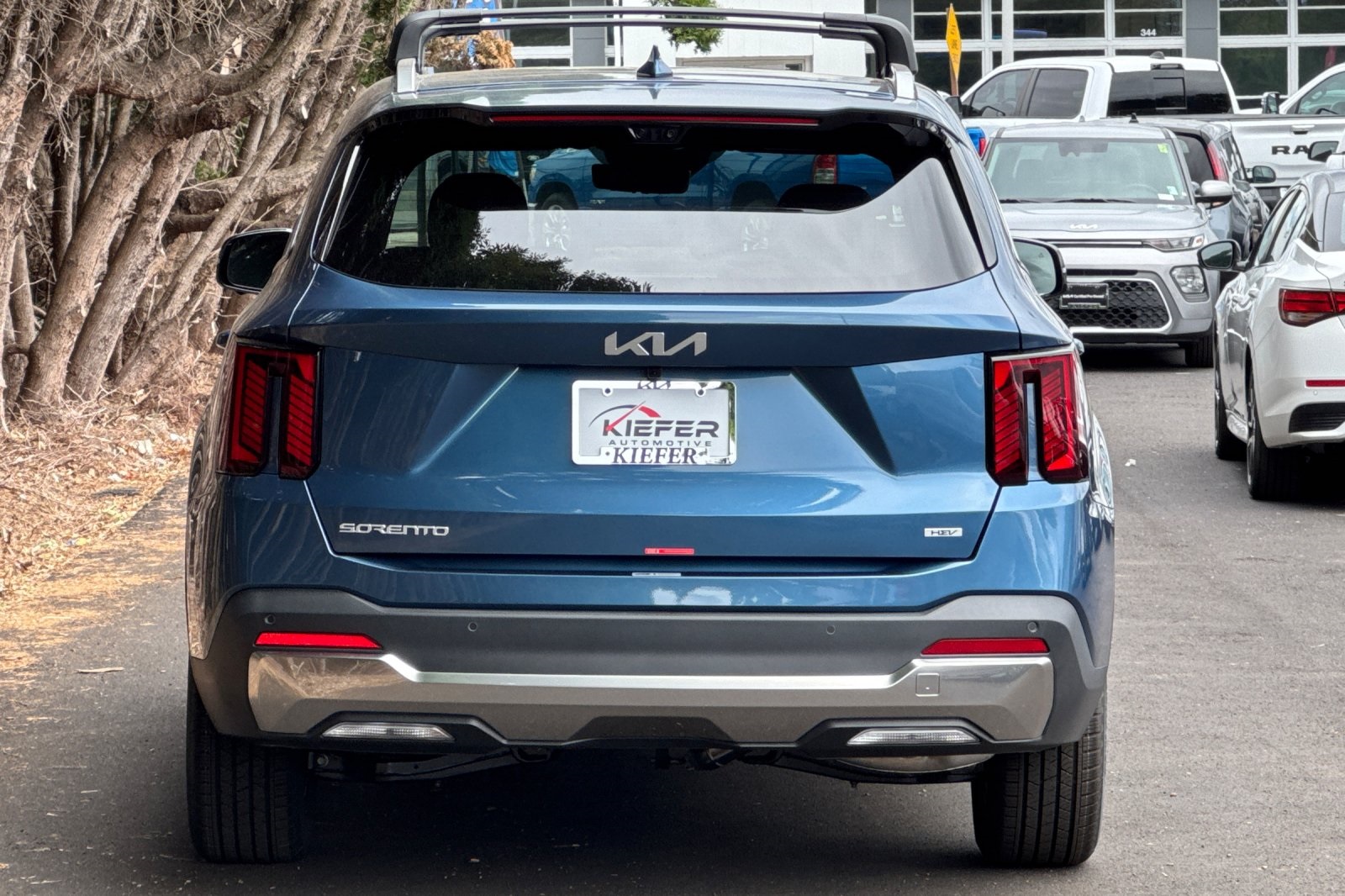 2025 Kia Sorento Hybrid SX Prestige photo 4