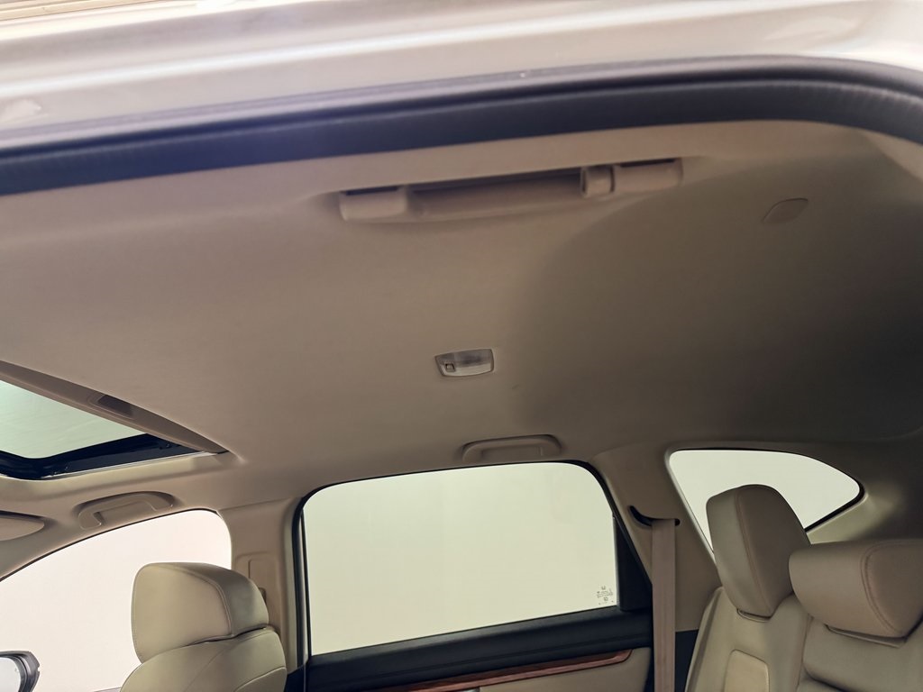 View 50