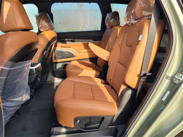 2025 Kia Telluride SX X-Line photo 4