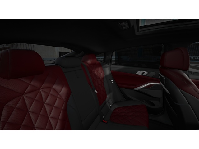2026 Bmw X6 M photo 10