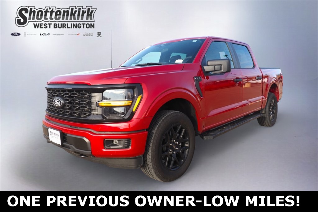 2025 Ford F-150 STX's photo