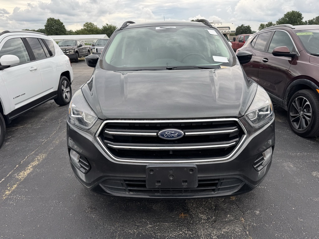 Used 2019 Ford Escape SE with VIN 1FMCU9GD8KUB67342 for sale in Kansas City