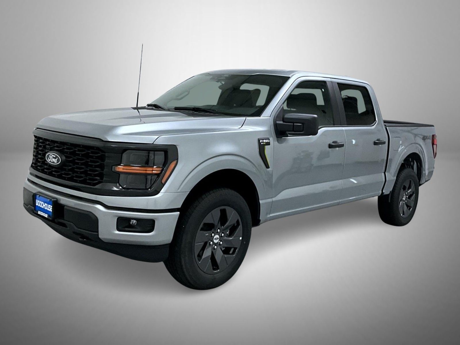 2025 Ford F-150 STX's photo