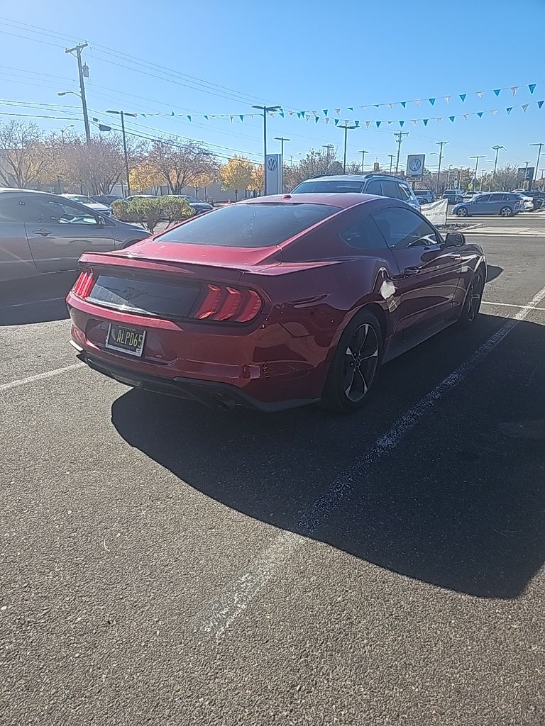 2019 Ford Mustang EcoBoost photo 3