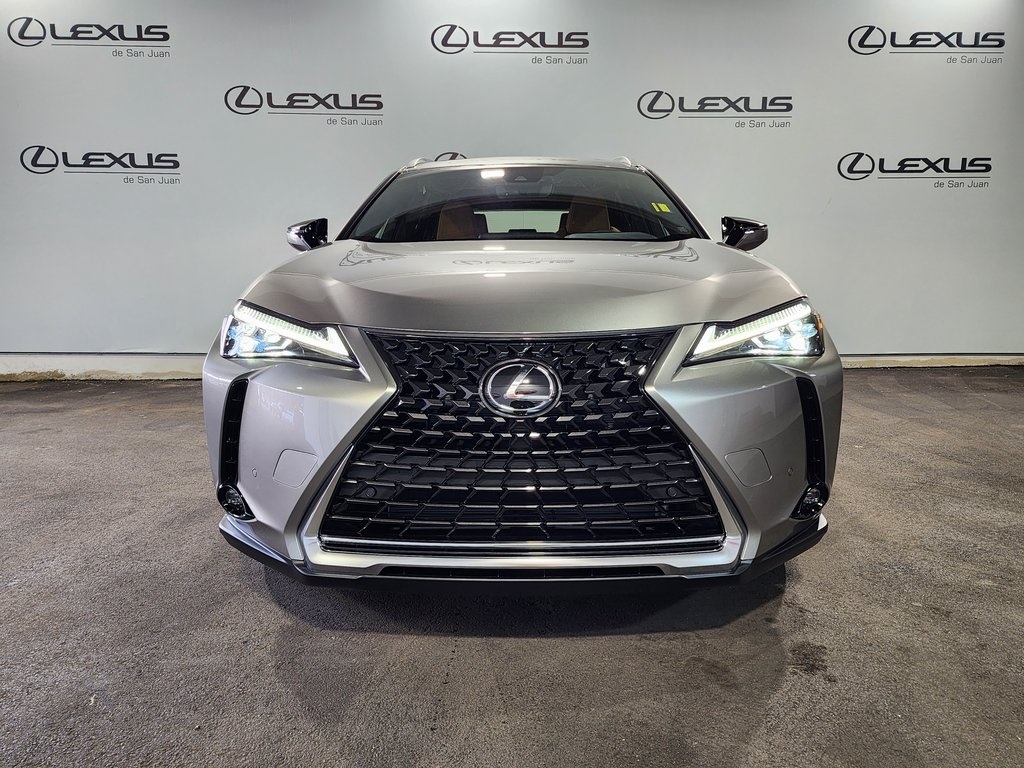 2025 Lexus UX photo 6