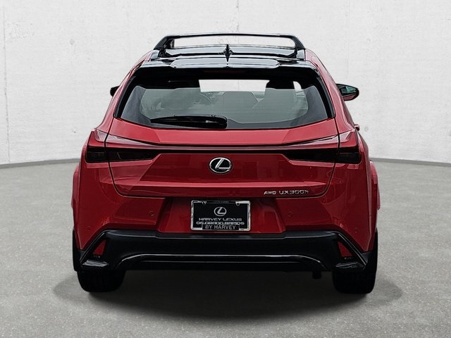 2025 Lexus UX F SPORT Design photo 6