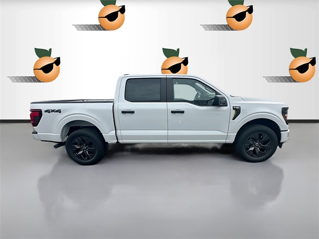 2025 Ford F-150 STX photo 2