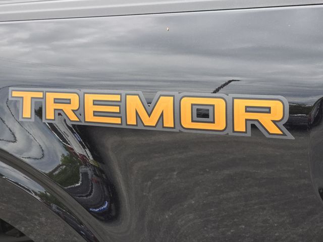 2025 Ford F-150 Tremor photo 8