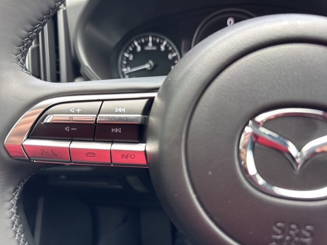 2025 Mazda CX-50 2.5 S Preferred photo 10