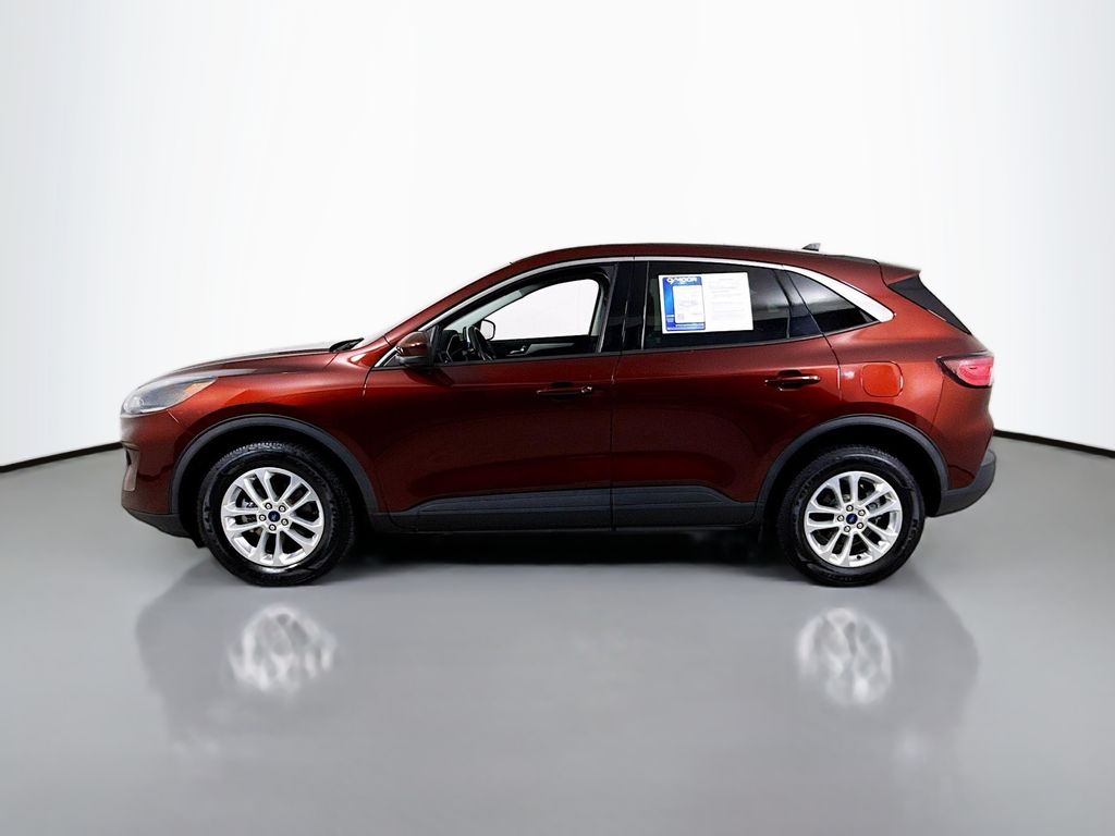 2021 Ford Escape SE photo 6