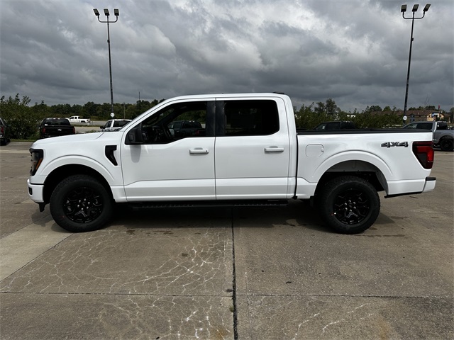 2025 Ford F-150 XLT photo 5