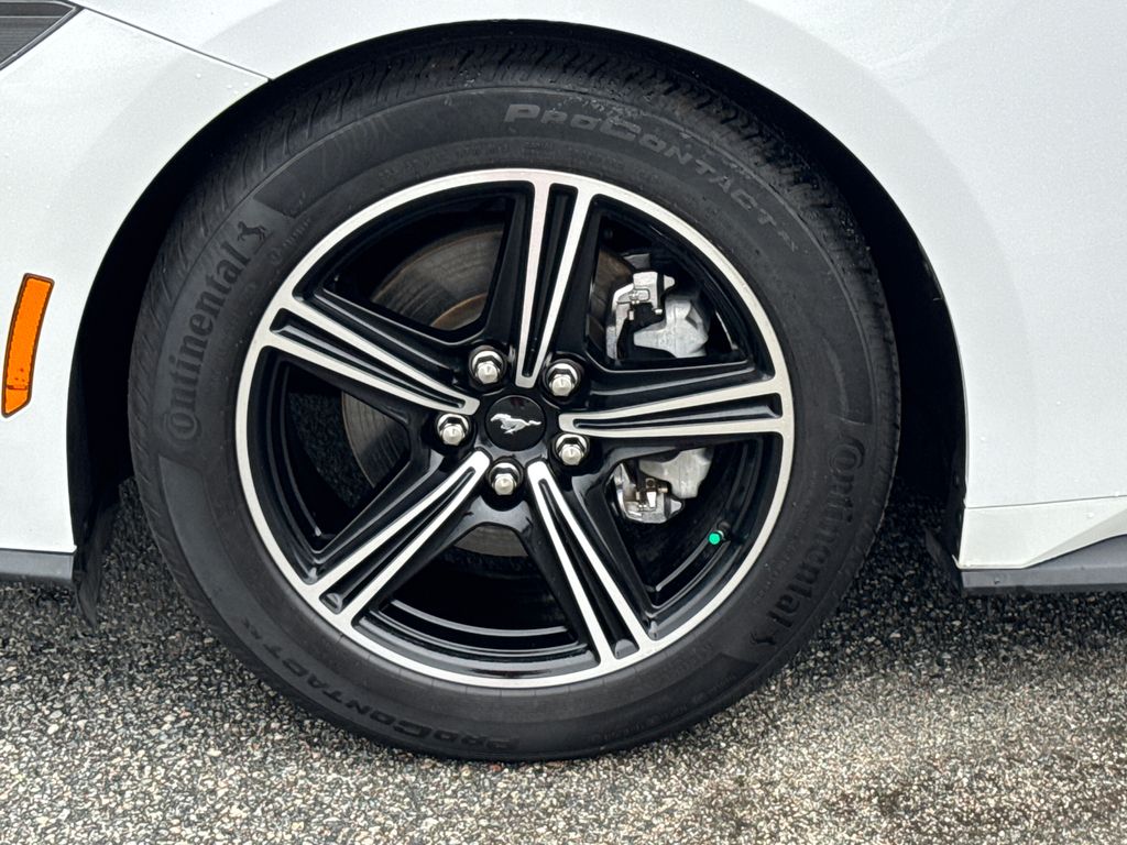 2024 Ford Mustang EcoBoost photo 11