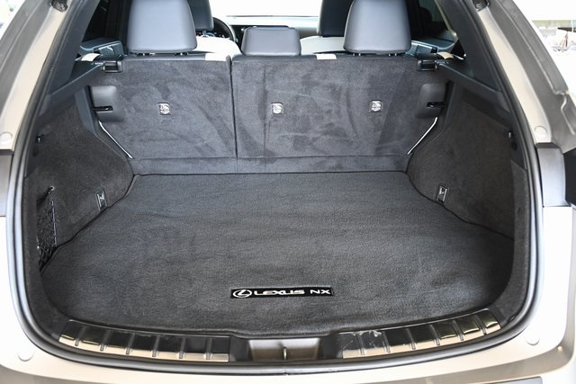 2024 Lexus NX 350h photo 16