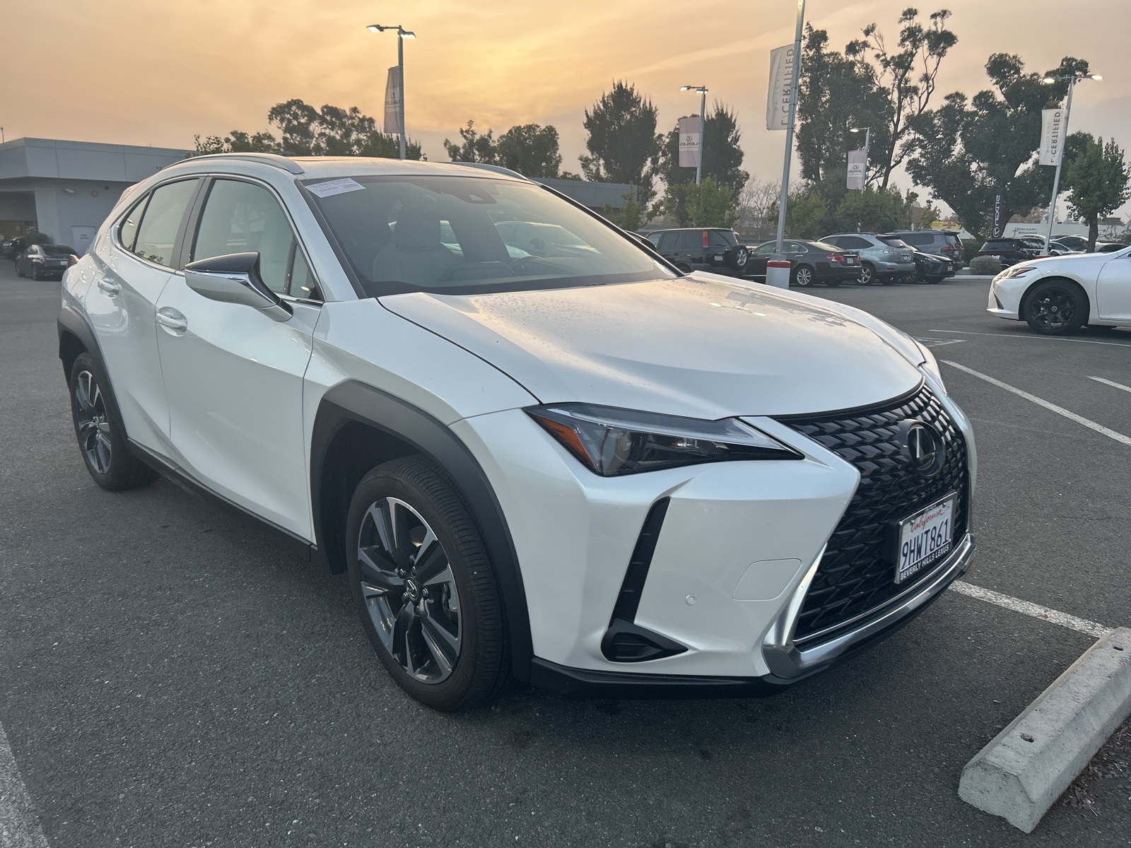 2024 Lexus UX 250h photo 2