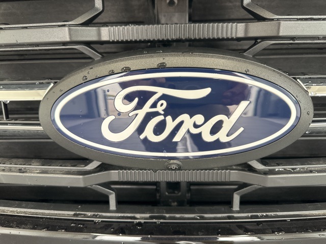 2025 Ford F-150 XLT photo 4