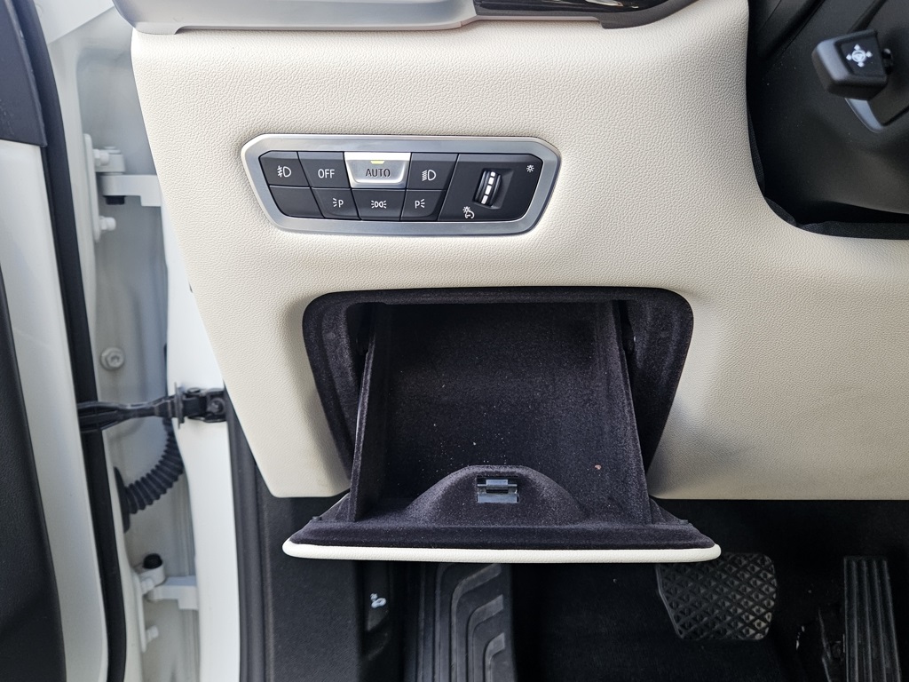 2020 Bmw X5 xDrive40i photo 33