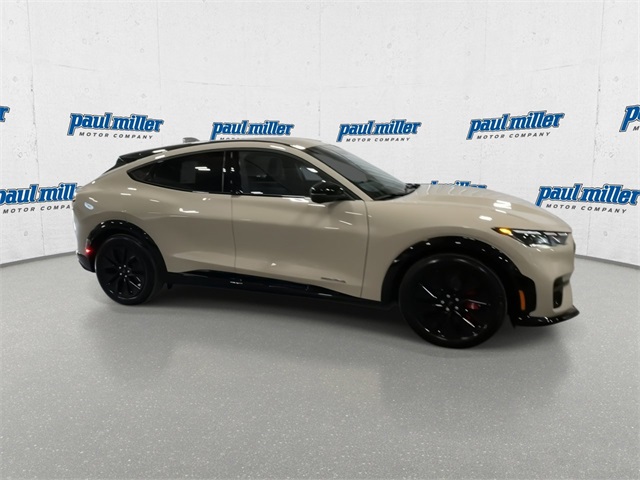 2025 Ford Mustang Mach-E Premium photo 13