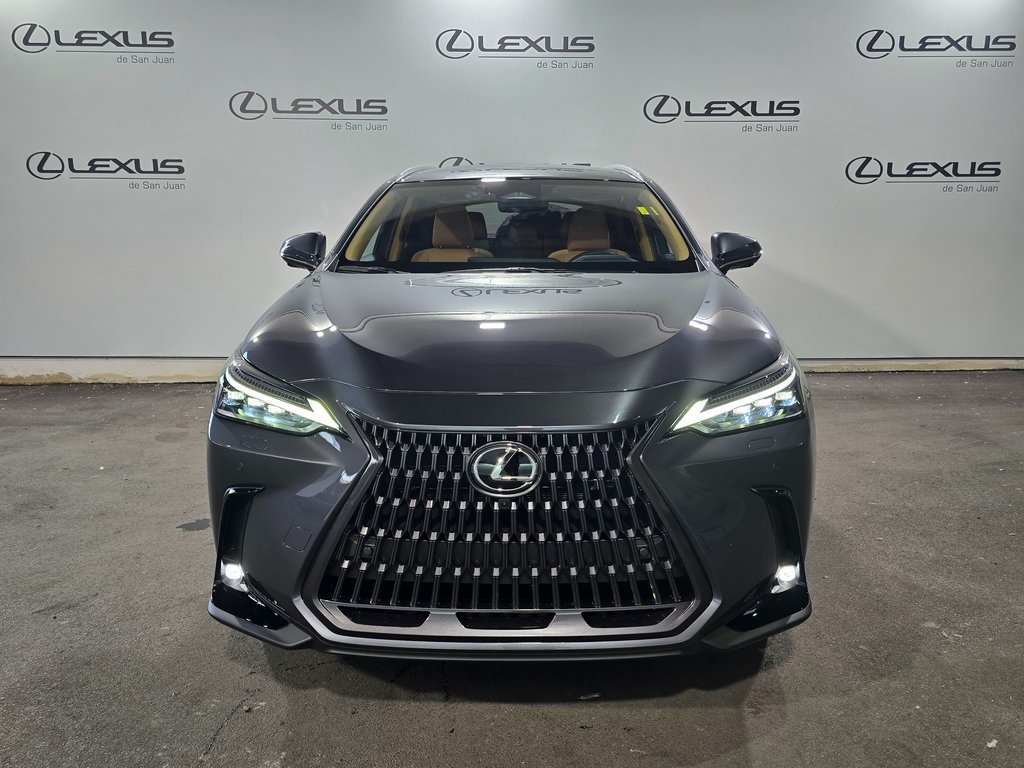 2025 Lexus NX 450h+ Luxury photo 2