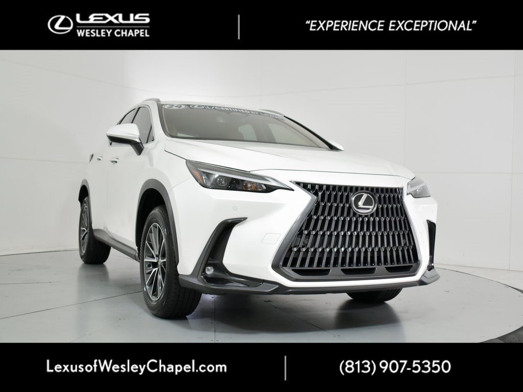 2024 Lexus NX 250's photo