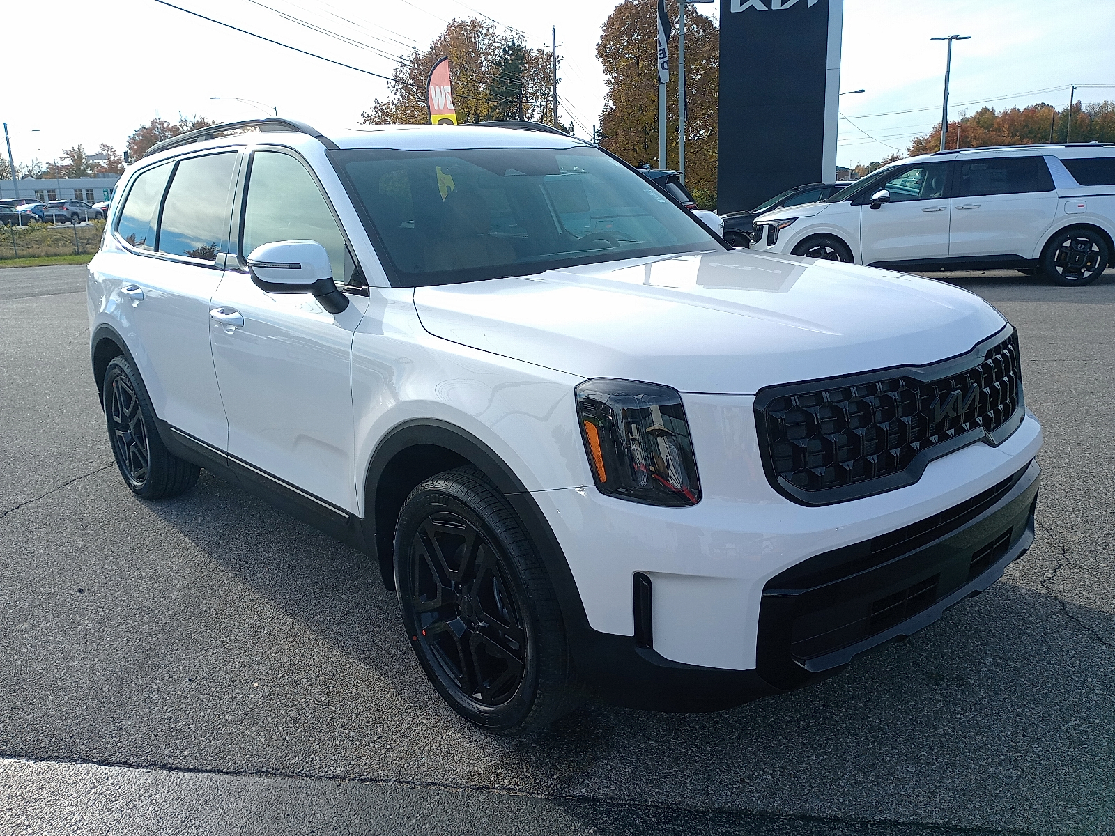 2025 Kia Telluride EX X-Line's photo