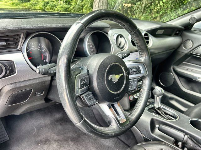 2023 Ford Mustang EcoBoost Premium photo 10