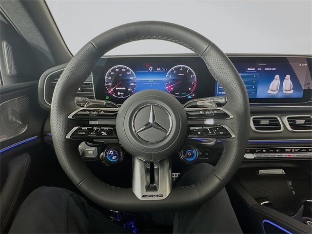 2025 Mercedes Benz GLE 53 AMG photo 11