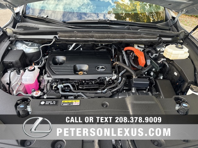 2024 Lexus RX 350h Luxury photo 9