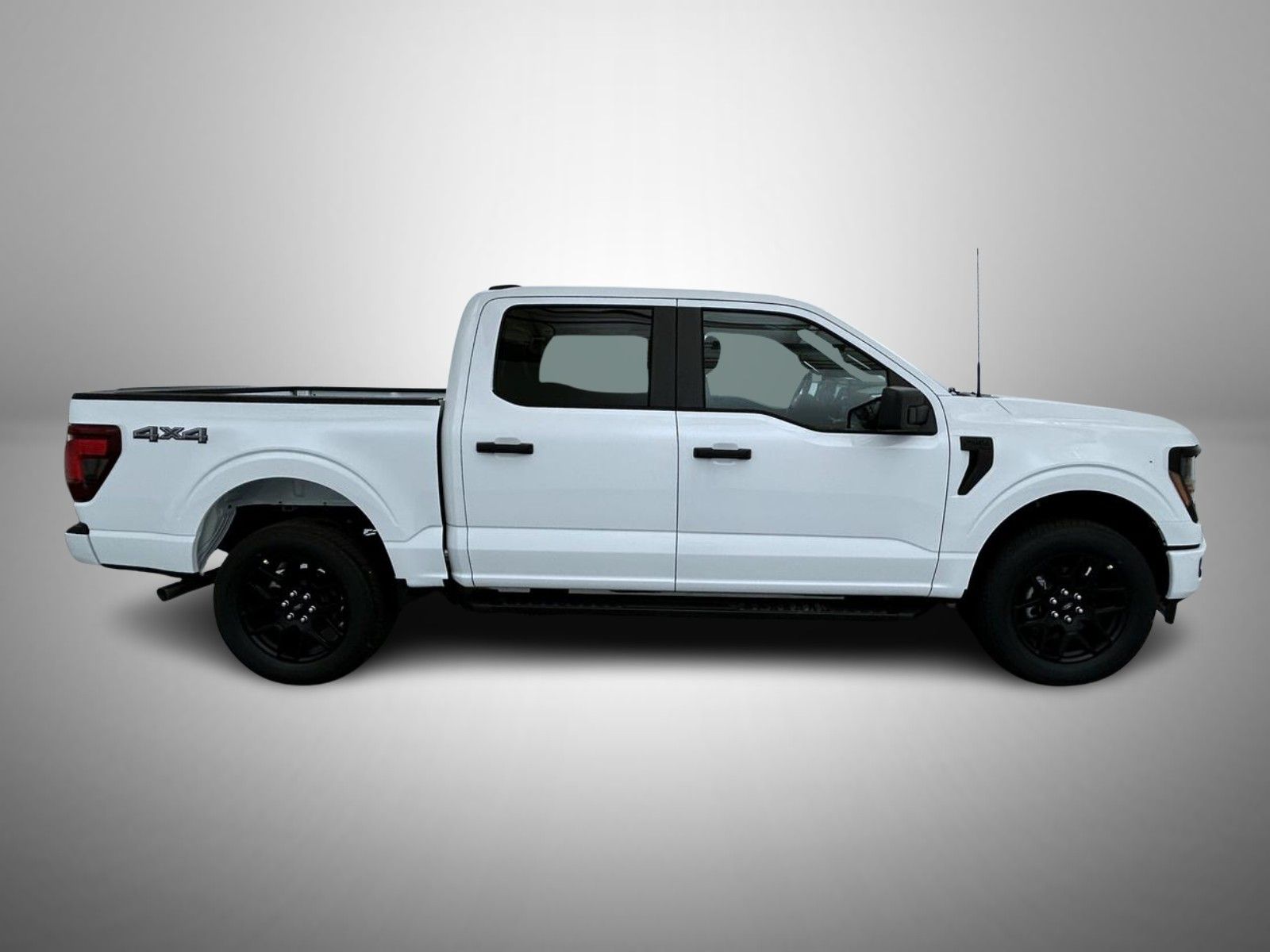 2025 Ford F-150 STX photo 4