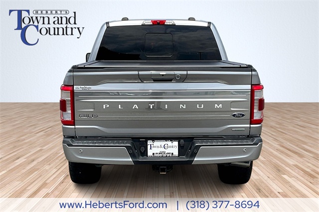 2021 Ford F-150 Platinum photo 4