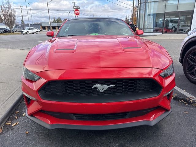 2019 Ford Mustang EcoBoost photo 2